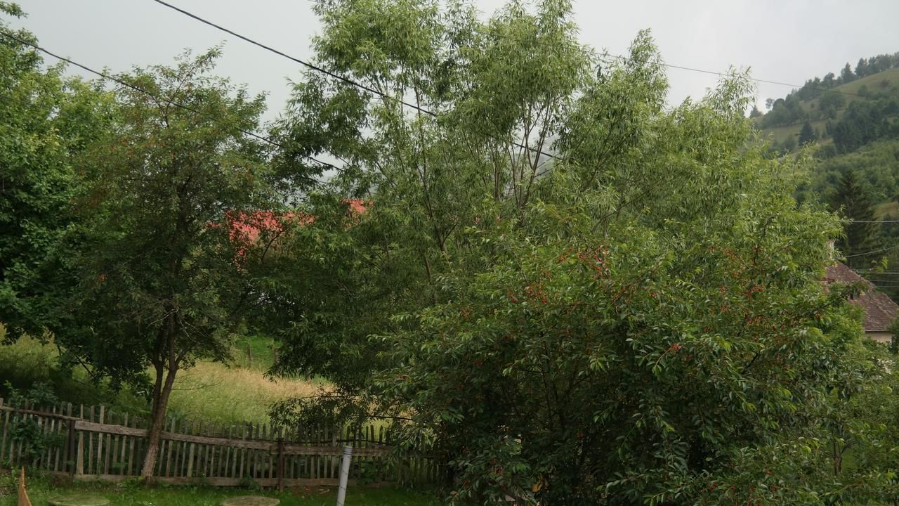 Гостевой дом Casa Mon Reve Бран-32