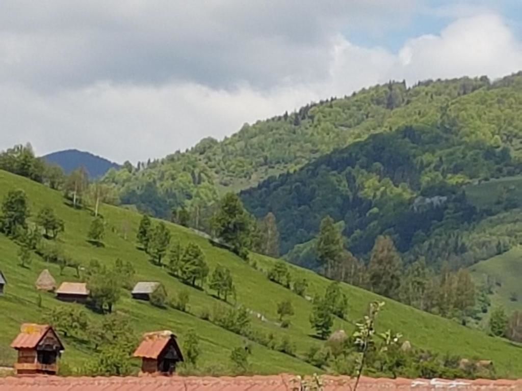 Гостевой дом Casa Mon Reve Бран