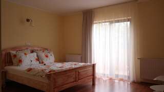 Гостевой дом Casa Mon Reve Бран Двухместный номер с 1 кроватью и балконом-6