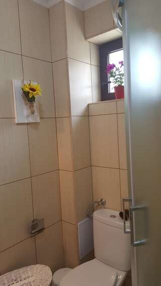Гостевой дом Casa Mon Reve Бран Стандартный двухместный номер с 1 кроватью-1
