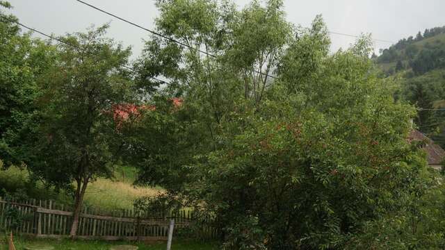 Гостевой дом Casa Mon Reve Бран-31
